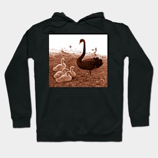 Swan and chicks : photograph Hoodie